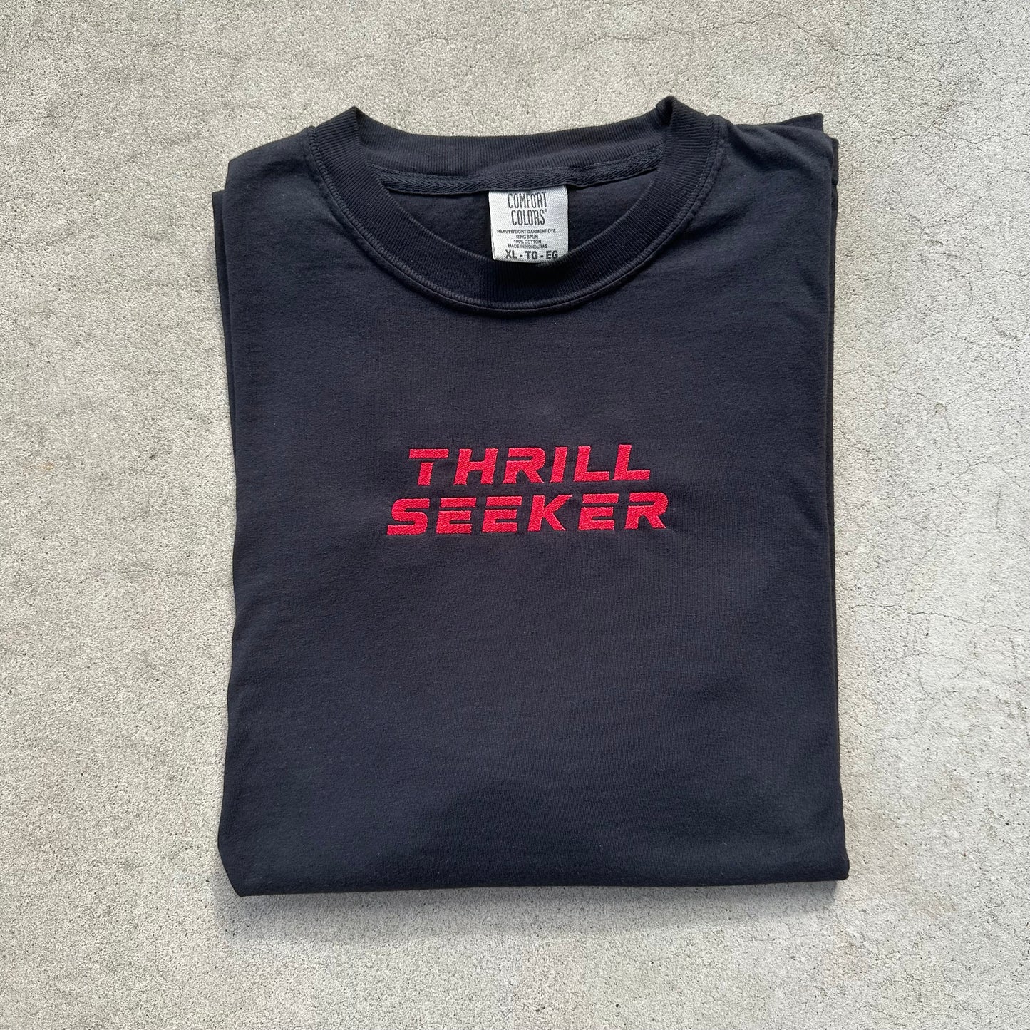 Black Thrill Seeker Embroidered T-Shirt
