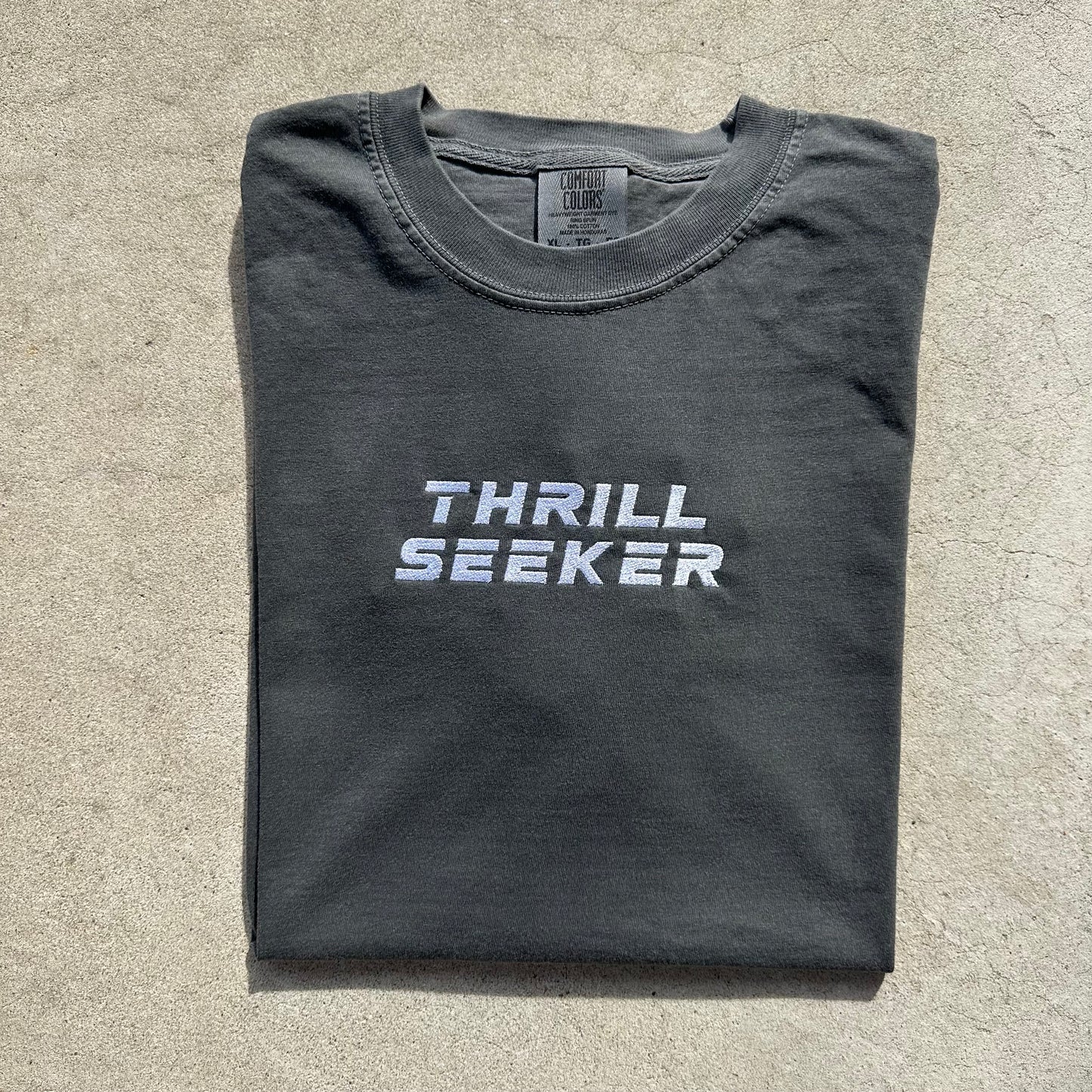 Gray Thrill Seeker Embroidered T-Shirt