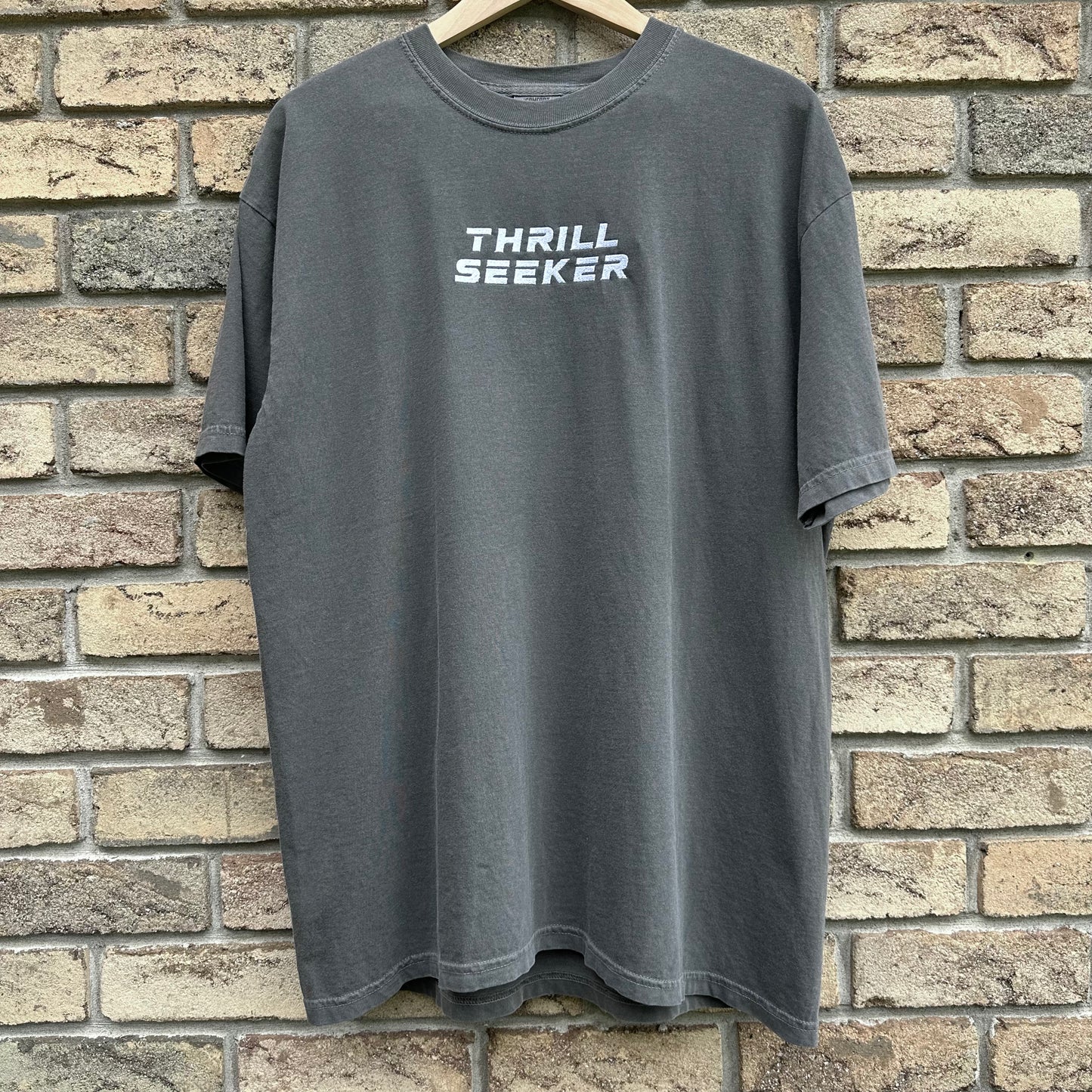 Gray Thrill Seeker Embroidered T-Shirt