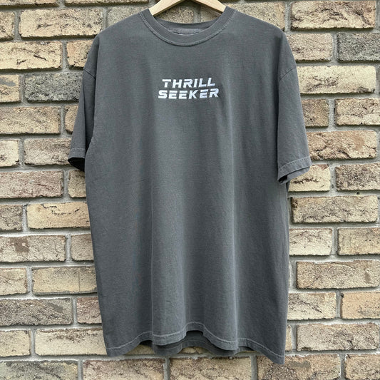 Gray Thrill Seeker Embroidered T-Shirt