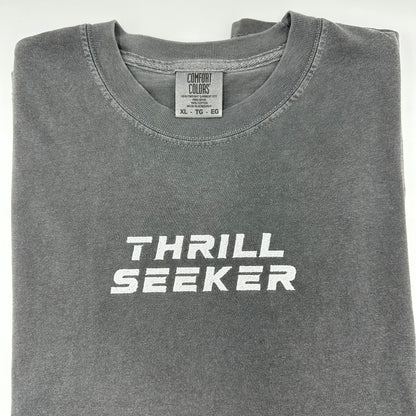 Gray Thrill Seeker Embroidered T-Shirt